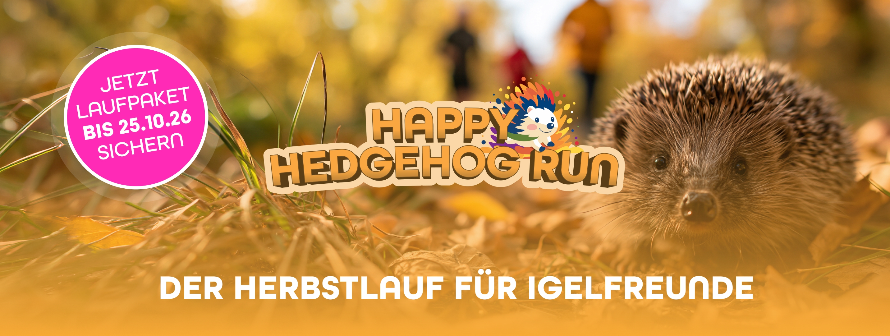 Happy Hedgehog Run 2026