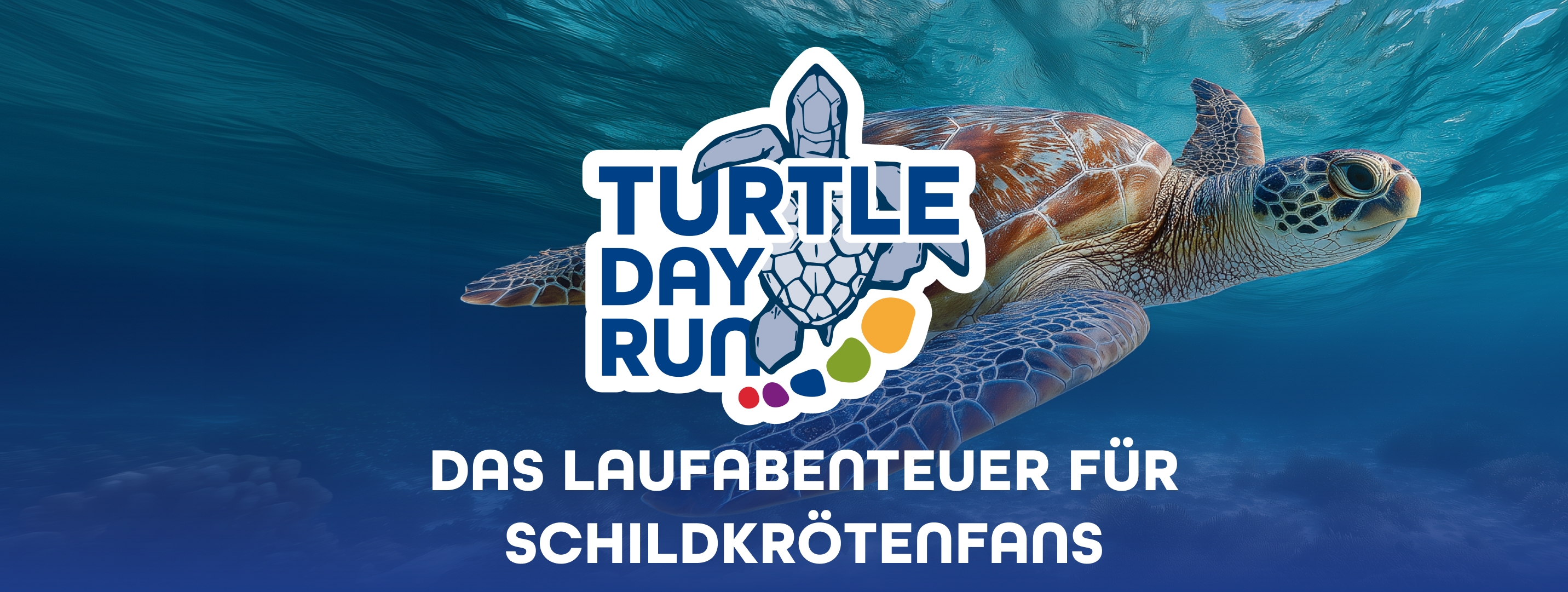Turtle Day Run 2026