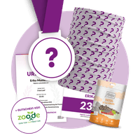 Paket Premium – Das Paket für dein Runner’s High!