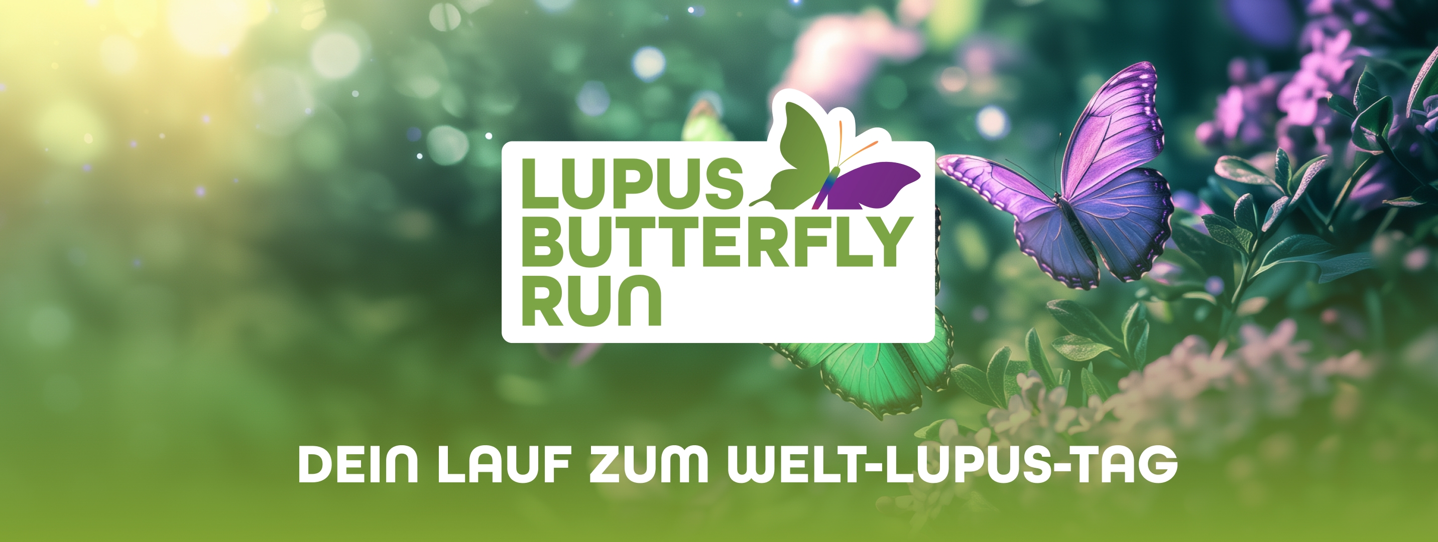 Lupus Butterfly Run 2026