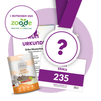 Paket Standard – Die extra Portion Motivation!